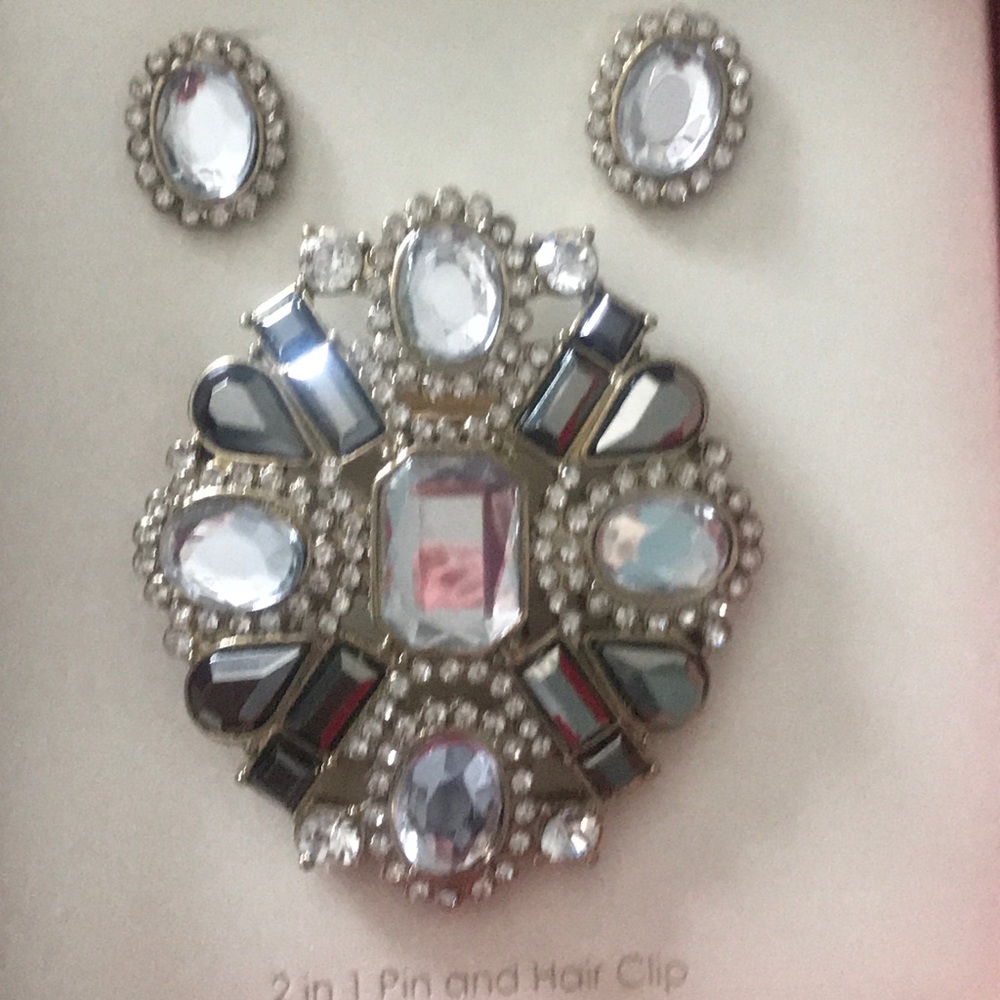 New Hair clip and earrings